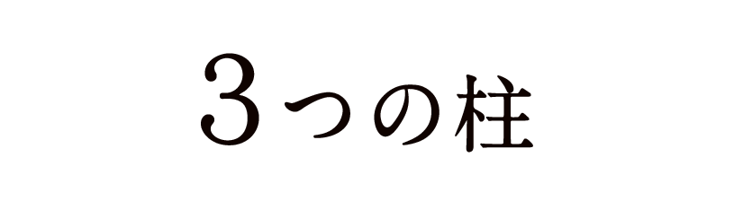 群馬脊椎脊髄病センター3つの柱