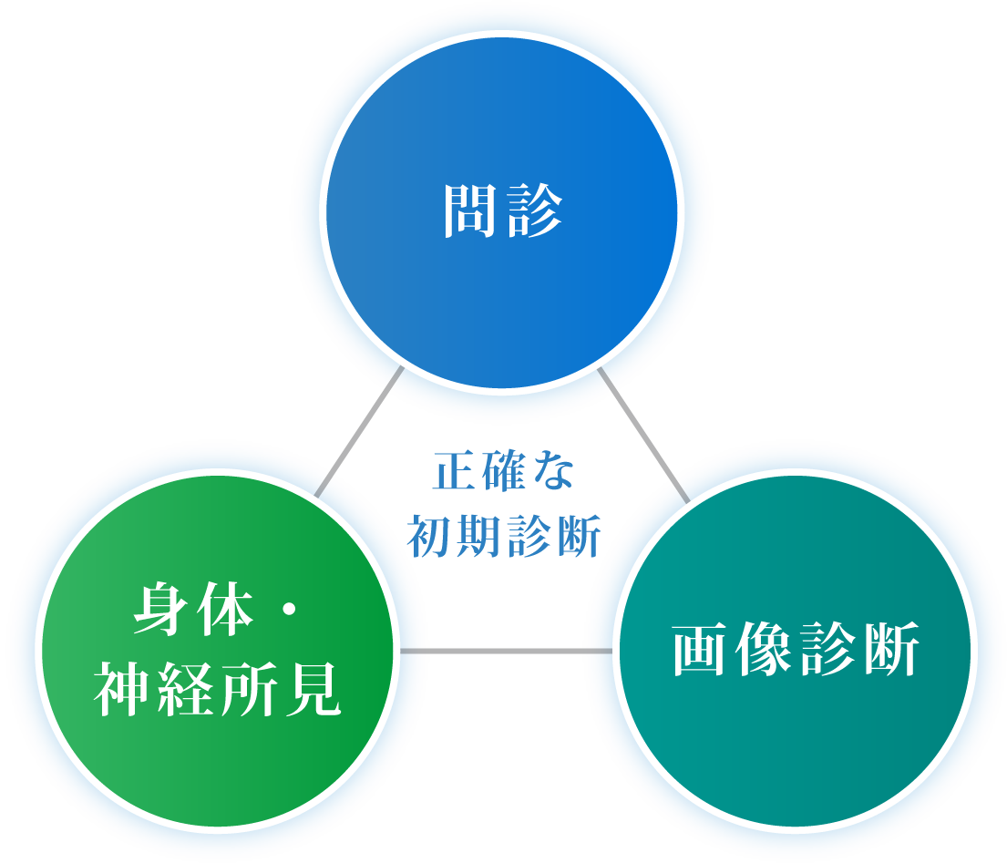 問診　画像診断　身体・神経所見　正確な初期診断